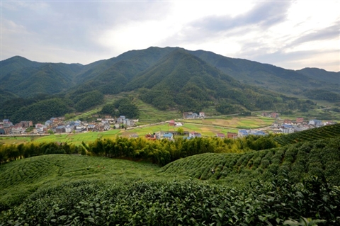 芰塘金村浙西秘境