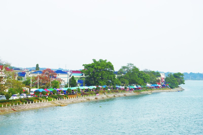 1    11月23日至25日,是小南海镇团石村历史悠久的传统集市.